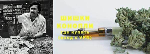 ПСИЛОЦИБИНОВЫЕ ГРИБЫ Новокубанск