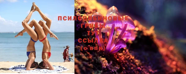 ECSTASY Новодвинск