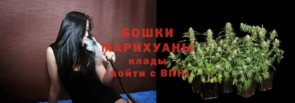 бошки Няндома