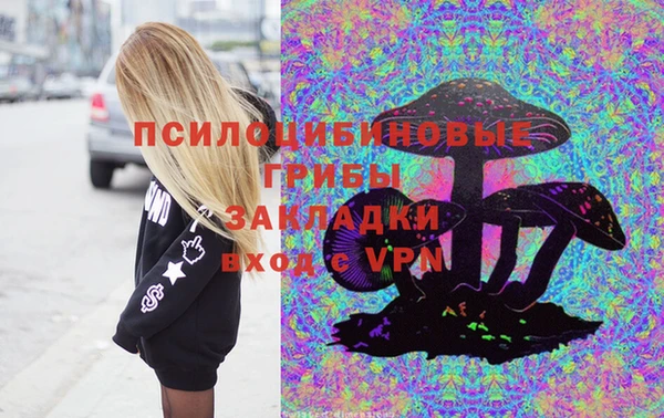 бошки Няндома