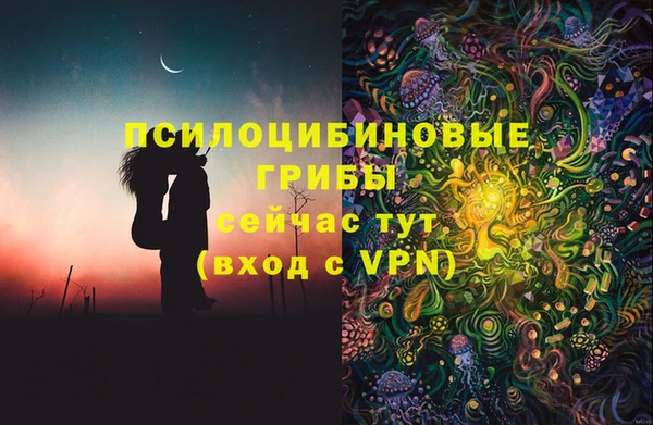 бошки Няндома
