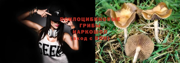 ПСИЛОЦИБИНОВЫЕ ГРИБЫ Новокубанск