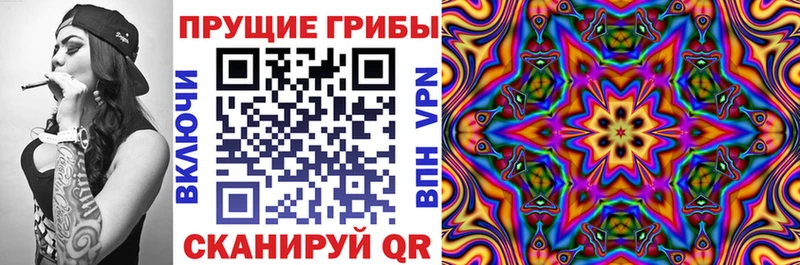 даркнет сайт  Комсомольск  Псилоцибиновые грибы Magic Shrooms 