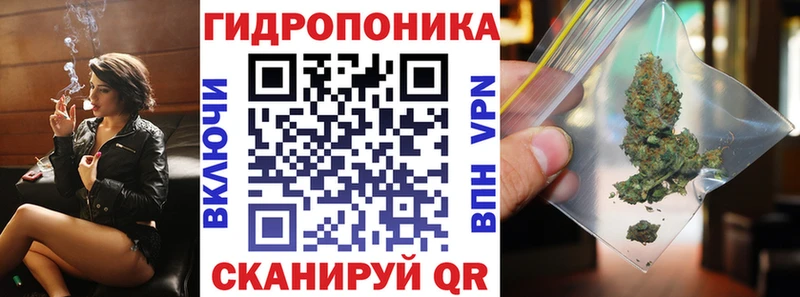 Бошки Шишки VHQ  Комсомольск 